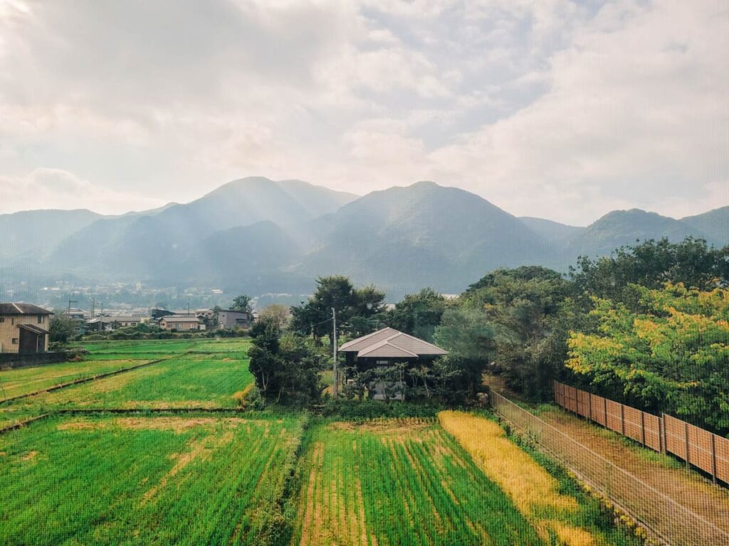view from bed and breakfast in yufuin of mt yufu and grass fields
