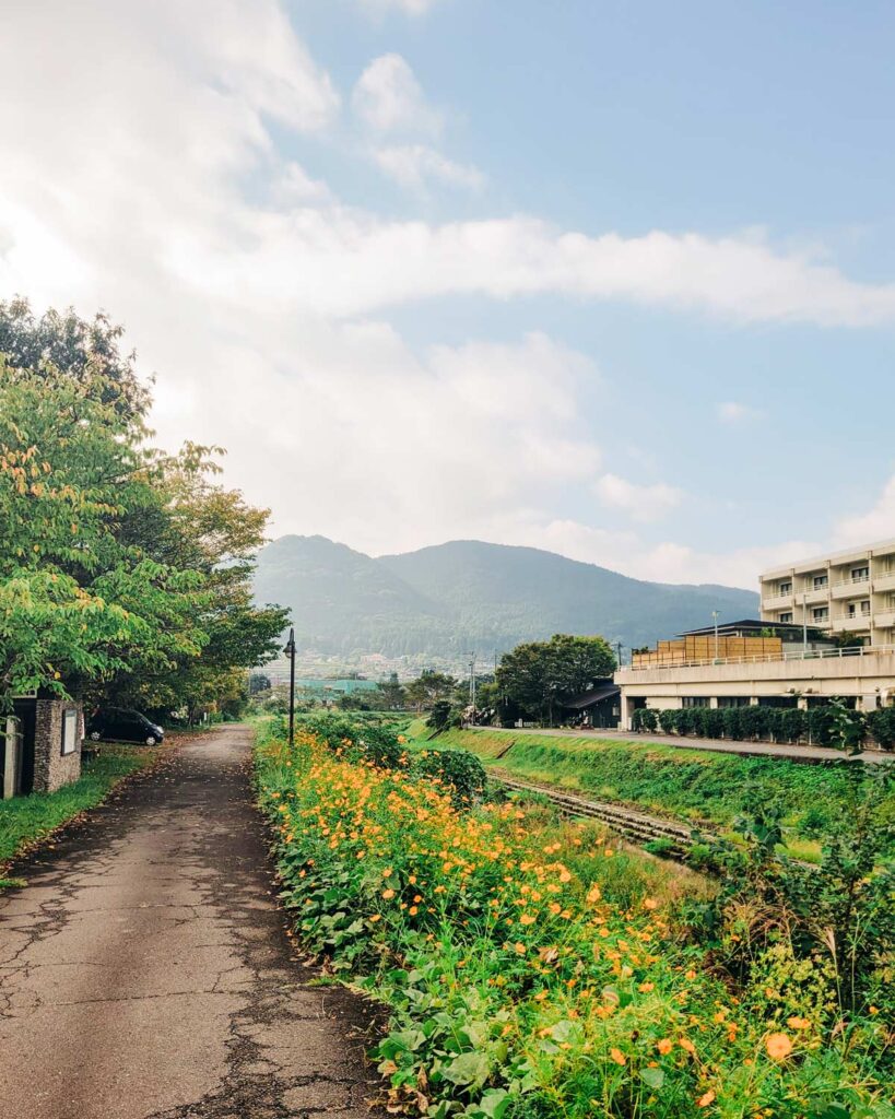 view of mt yufu from japanese bed and breakfast with fall orange flowers along the river in yufuin
