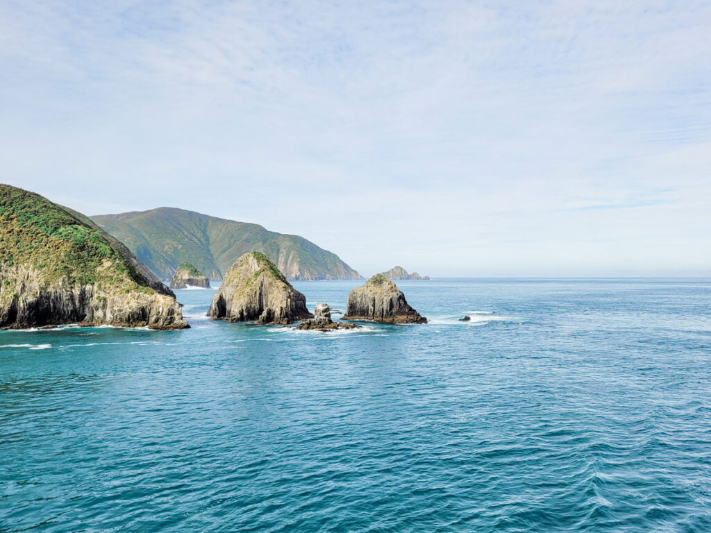 cook strait with wellington and cliff rocks in water