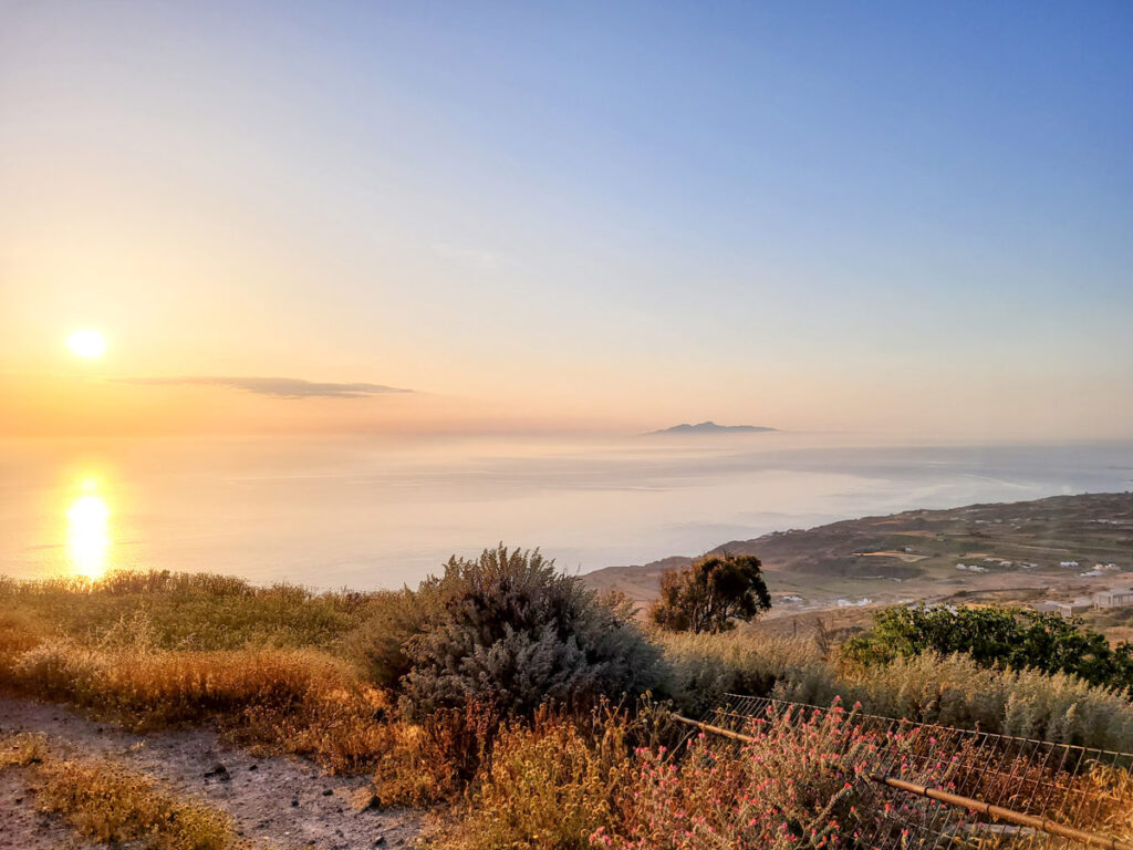 sunrise view of santorini island with pink flowers and misty clouds
